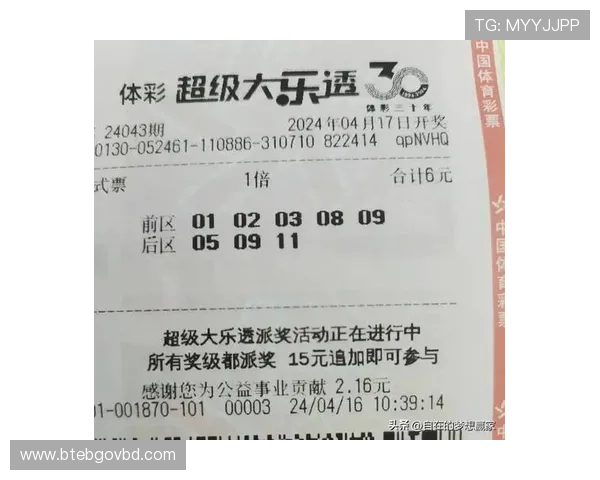 尊龙体育官方平台的投注流程详解，帮助用户轻松完成投注操作