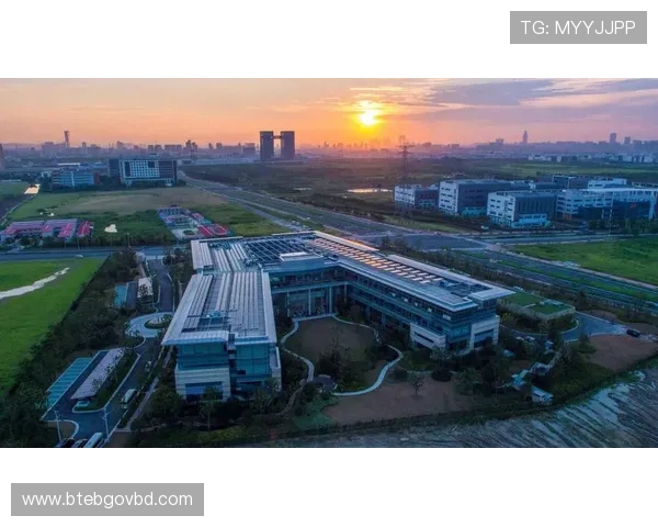 神殿集团未来发展规划与行业趋势预测为玩家和投资者提供决策参考