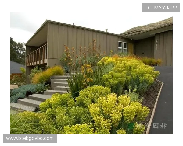 老哥俱乐部体育官网最新活动公告及奖励领取指南全方位解读